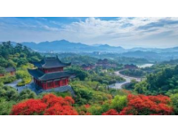 最新版！普陀山自由行攻略，吃住行玩一網打盡！