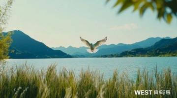 無錫旅游攻略太湖明珠的詩意漫游，人均1000元玩轉江南韻味