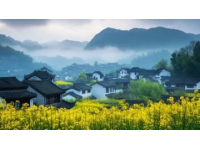 婺源春色：江西最美鄉村的油菜花海與古樸村落風光
