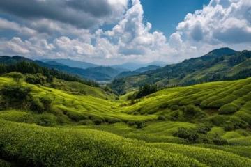 茶溪谷，一個(gè)名字聽(tīng)起來(lái)充滿詩(shī)意的旅游景點(diǎn),盡管設(shè)施已經(jīng)有些破敗了