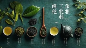 黃山美食之旅：品嘗徽州風味