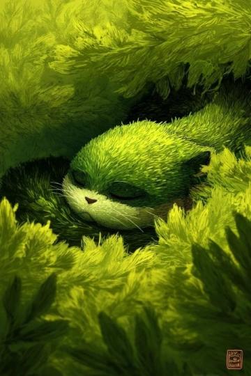 地球奇觀：揭秘小動物不可思議的神秘能力