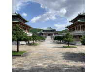 一年的空虛時間，讓我再次實現了重游咸陽市的夢想