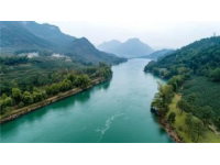 揭秘海南神奇土地：空氣負氧離子含量高，爬山不累呼吸暢快，父親雙腿腫脹奇跡般消退！