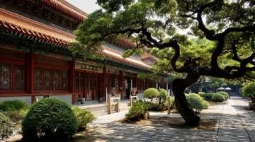 杭州美食之旅:品味西湖醋魚、龍井蝦仁的江南風(fēng)味