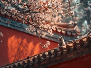 中國各地春節習俗大盤點，你家鄉上榜了嗎？