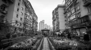 深圳：自由生長的改革樣本
