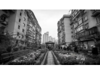都市生活的魅力與壓力：光鮮背后的真實(shí)圖景