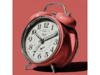 探索晝夜節(jié)律調(diào)控機(jī)理及其在睡眠障礙與疾病治療中的應(yīng)用