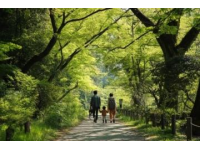 全國(guó)五大踏青公園推薦，解鎖春日親子樂(lè)趣之旅