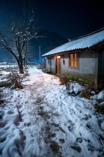 煙臺招遠，冬至將至，入冬之后的兩場降雪，路邊的菊花傲視風雪的姿態。