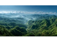 綿陽親子研學(xué)游：逸森麓野自然探索之旅