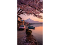 日本旅行指南：穿越時(shí)空體驗(yàn)東方美學(xué)