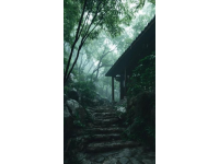 （實(shí)拍）成都農(nóng)科村，免費(fèi)4A景區(qū)，以前最喜歡去的農(nóng)家樂聚集地
