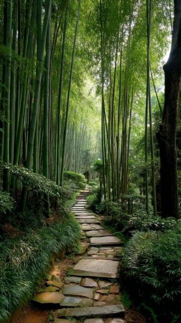 重慶南山植物園花開了嗎(重慶南山植物園花開迷人，就是上山下山太擁堵了...)