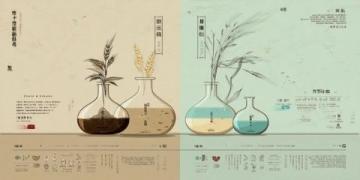 客家釀菜大全：簡(jiǎn)單易學(xué)、鮮美多樣