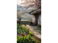 一個(gè)浙江的春天，在細(xì)枝末節(jié)