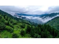 海口旅行攻略：暢游中國行