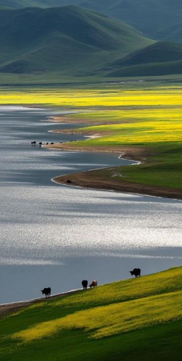 青海甘肅旅游攻略：全面詳盡行程指南，必看景點(diǎn)門票及出行建議