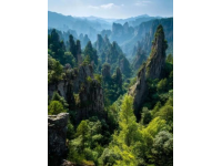 秦嶺徒步探險(xiǎn)：鍋坑梁美景與路線指南