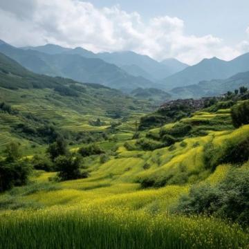 小滿時節養生攻略:夏熟作物成熟之際