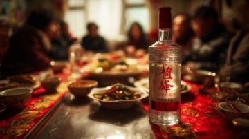 寧夏紅酒體驗：山海情同款，二十年酒恐再臨心中陰影