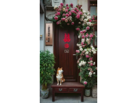 天潤(rùn)鋁包木門窗保養(yǎng)小常識(shí):密封膠條的正確使用與維護(hù)