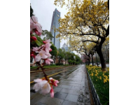 杭州很無(wú)敵的10家！！純自費(fèi)無(wú)廣