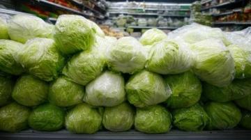 神秘鹵菜店的背后真相：方師傅的驚人秘密曝光了！