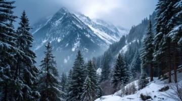 位于國(guó)家高山滑雪中心山腳下的民宿——2024黑松露指南精品民宿榜單入選者