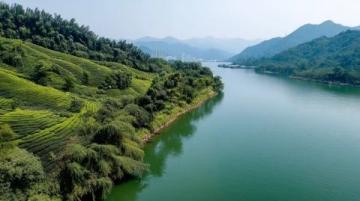 武漢之旅：不可錯過的經典景點和美麗風光