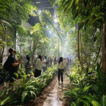 廣州增城驚現(xiàn)現(xiàn)實(shí)版「莫奈花園」！春日浪漫打卡地被我找到了