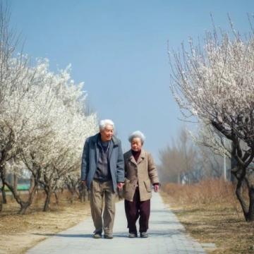 深圳定居適宜老年人嗎？宜居分析及優待政策解讀