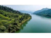武漢之旅：不可錯過的經典景點和美麗風光