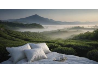 探秘澄邁福山咖啡園：藝術(shù)與歷史的完美融合之旅