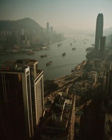 香港鼠患嚴(yán)峻：每捉一只老鼠成本約10880元，引發(fā)熱議