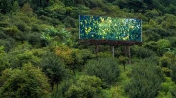 浙西南山區的詩意棲居地——松陽