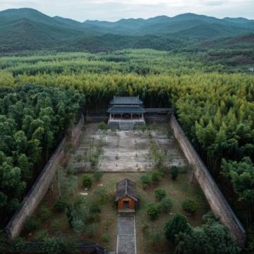 漫悅小巷民宿:體驗叢林坦克的樂趣