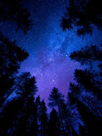暗香滿天，夜色更深