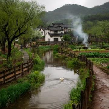 清遠炒沙村路口行人過馬路安全隱患亟待解決