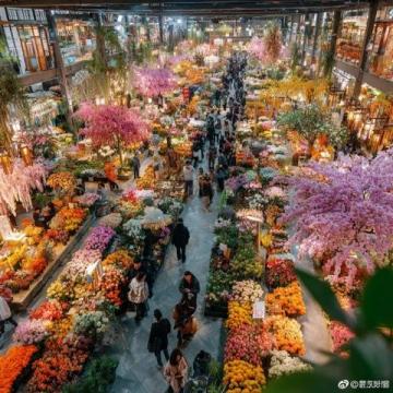 亞明農(nóng)貿(mào)市場:沈陽皇姑區(qū)的繁華記憶與市井生活風(fēng)情