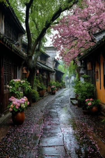 喜洲古鎮(zhèn)蒼洱之間的桃源,美到極致!喜洲古鎮(zhèn)蒼洱之間的桃源,美到極致!