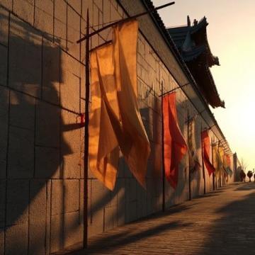 五一游衢州:探索古城歷史文化名城之旅