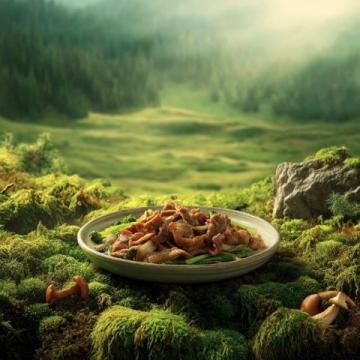 春日美食探秘:伊春風(fēng)情美食之旅