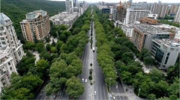 三天佛山行:上海人的驚喜發現,徹底改觀對廣東的印象