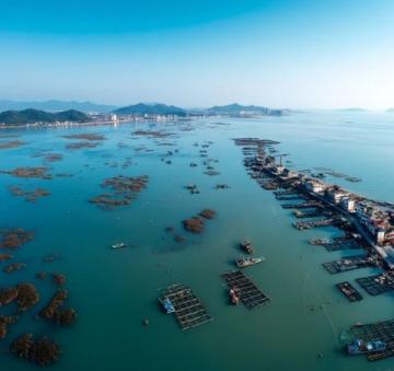 輕松暢游三亞：一日一景，不費腦的旅游攻略！