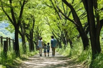 500元環游東日本!JR東日本平日旅行優惠票限時發售