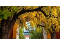 昌吉市最好玩的地方有哪些？不容錯(cuò)過的旅游景點(diǎn)推薦！