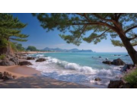 榮成海邊拍照爭(zhēng)議：禁令引發(fā)熱議，平衡旅游管理與公眾權(quán)利成焦點(diǎn)