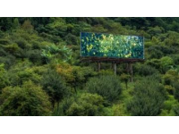 浙西南山區的詩意棲居地——松陽